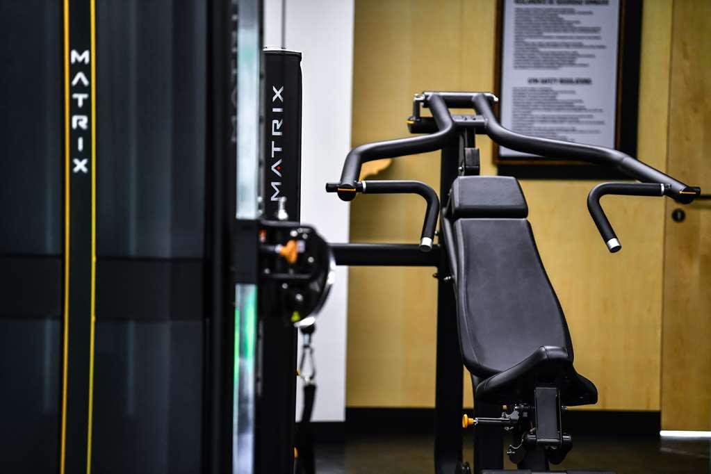 Galeria Plaza San Jeronimo Hotel Mexico-stad Faciliteiten foto A shoulder press machine