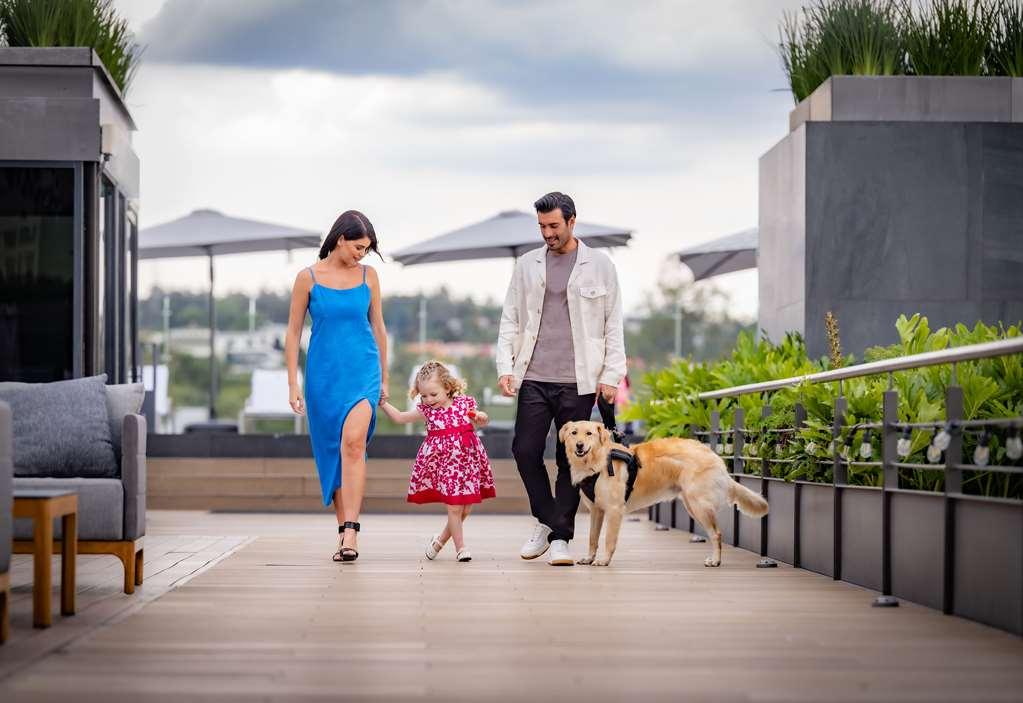 Galeria Plaza San Jeronimo Hotel Mexico-stad Faciliteiten foto Residents on the Sky Deck
