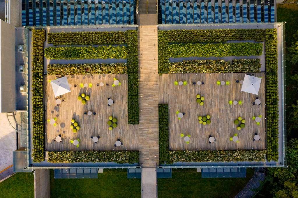 Galeria Plaza San Jeronimo Hotel Mexico-stad Buitenkant foto The green wall at the Allianz Arena