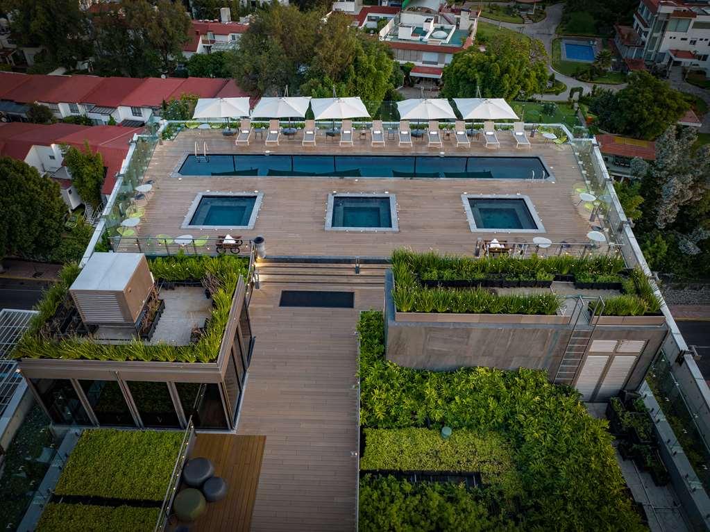 Galeria Plaza San Jeronimo Hotel Mexico-stad Faciliteiten foto The rooftop pool at the hotel